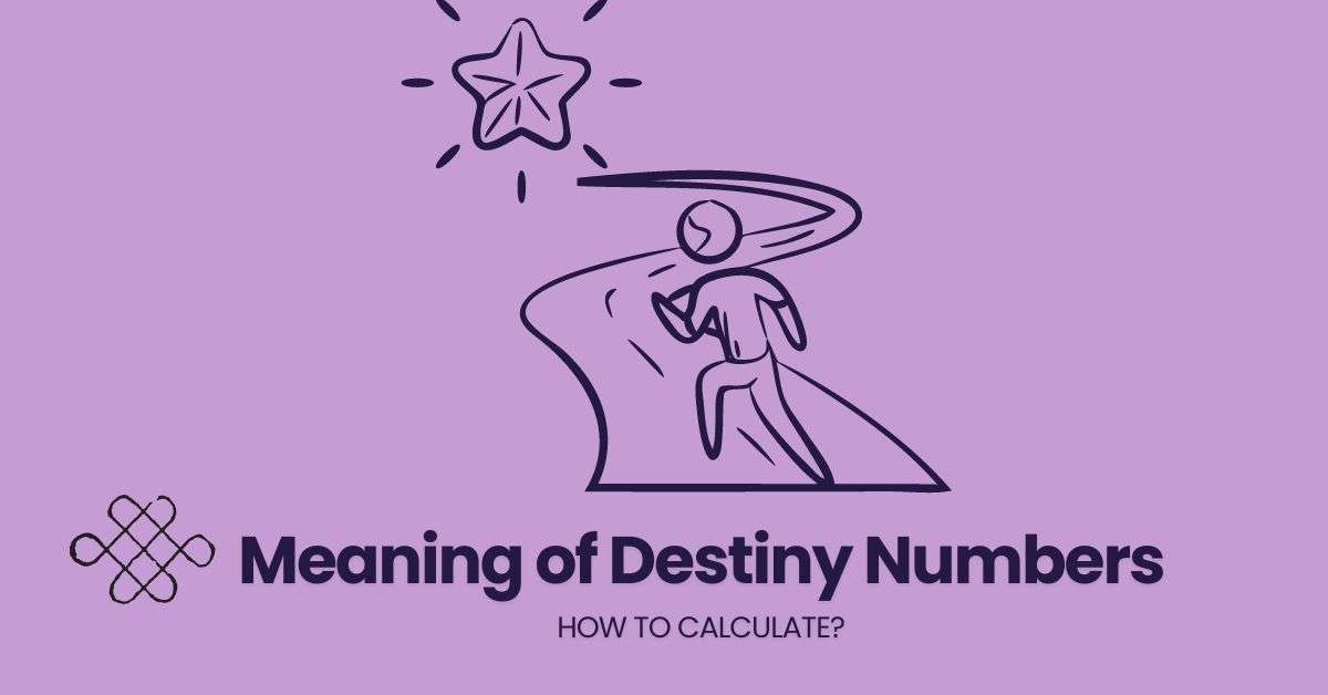 What is Destiny Numbers?
